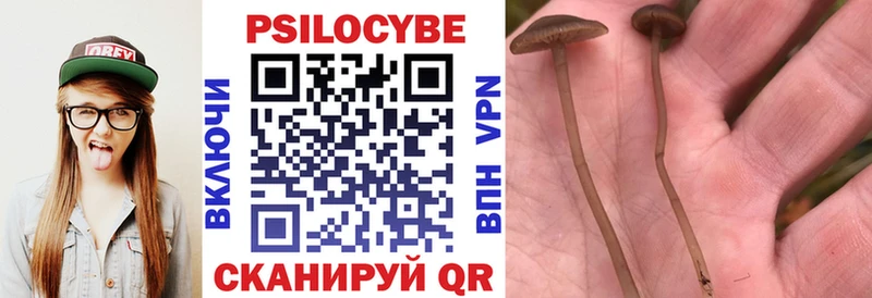 Галлюциногенные грибы Psilocybe Пересвет