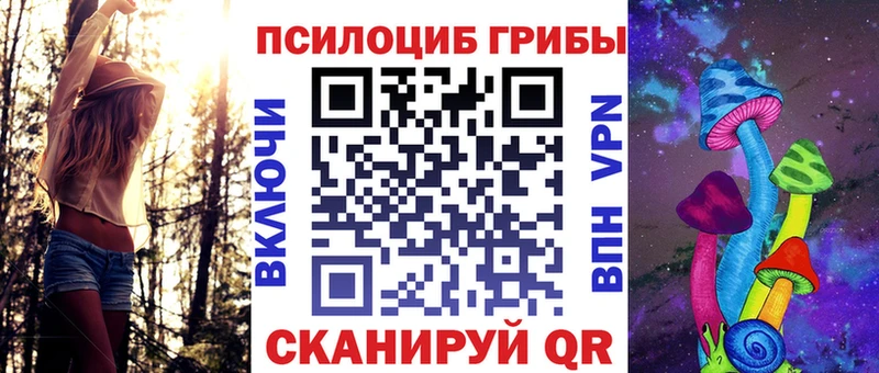 где найти   Пересвет  Псилоцибиновые грибы мицелий 
